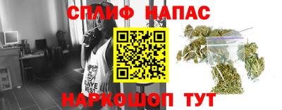 каннабис Дубна