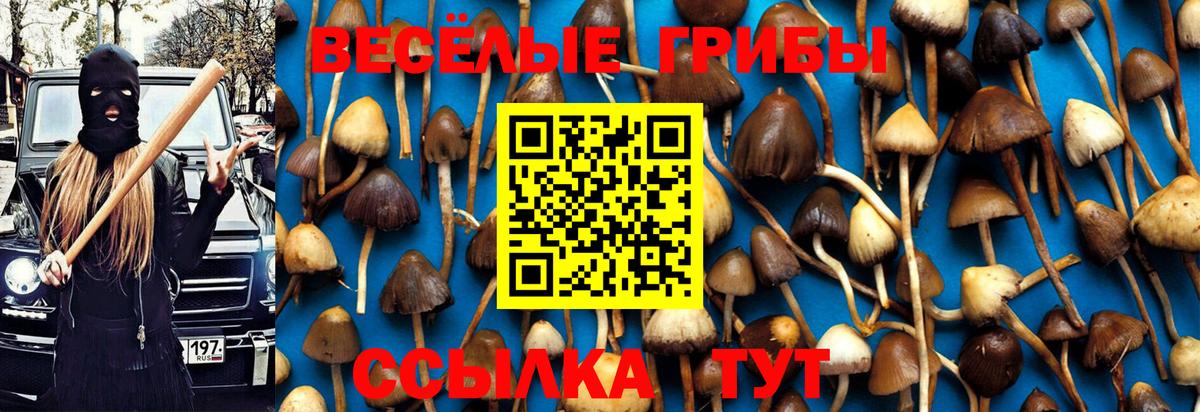 Галлюциногенные грибы мухоморы Майский