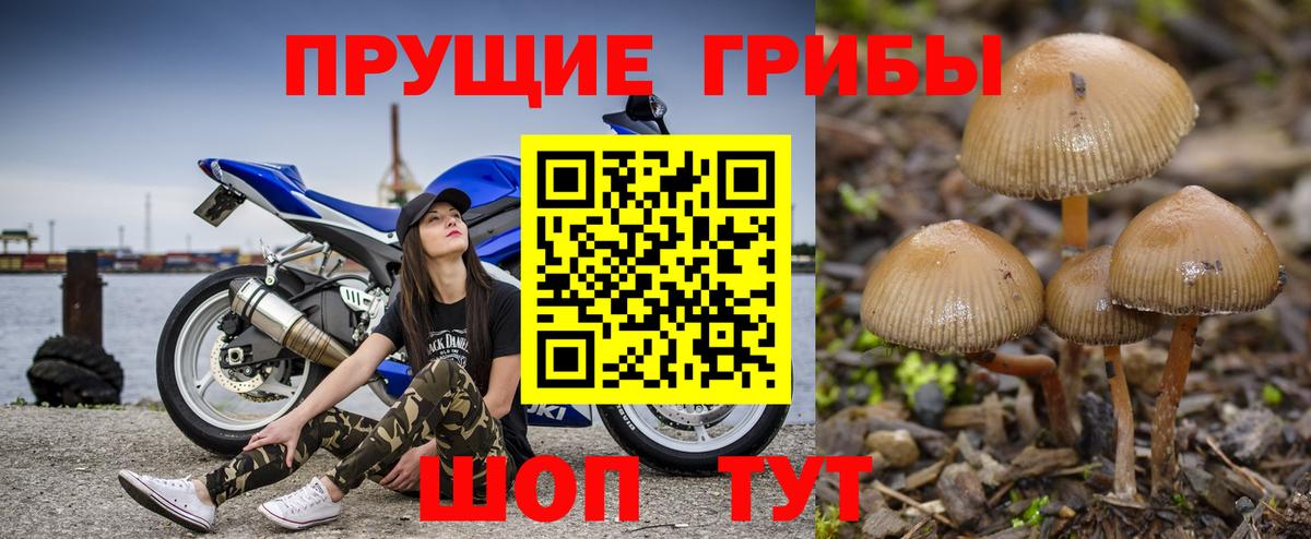 Псилоцибиновые грибы прущие грибы  Вход с VPN  Майский  купить   Галлюциногенные грибы GOLDEN TEACHER 